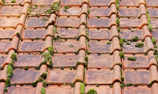 Démoussage de toiture à Saint-Geours-de-Maremne